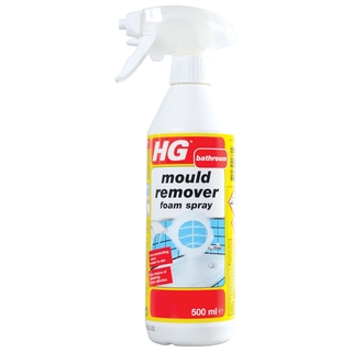 HG Mould Remover Foam Spray