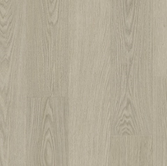 Chia Oak AVSPU40280